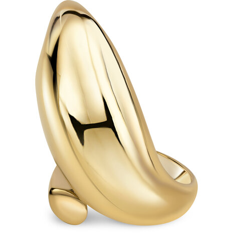 Charmin's Goudkleurige Chunky Ring van Staal met Open Uiteinden – één Klein Rond en één Grote Druppelvorm R1843.