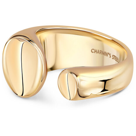 Charmin's Goudkleurige Chunky Ring met Open Platte Ronde Uiteinden Staal R1857 – Strak en Elegant