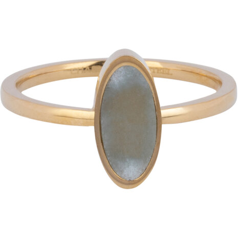 Charmin's Gold-Colored Oval Signet Ring with Moonstone Gemstone Steel R1215
