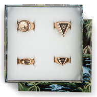 Charmin&#039;s Smalle Display Eco Karton 4 Ringen 5537