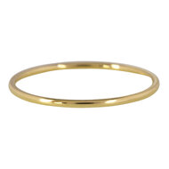 Charmin&rsquo;s goudkleurige Ring Rond Extra Smal 1MM R370