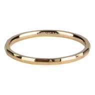 Charmin&rsquo;s goudkleurige stapelring Angle goldplated staal  R311