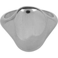 Charmin&#039;s Grote Organische Zegelring Staal R1149 &ndash; Comfortabele Eyecatcher