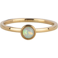Charmin&#039;s Goudkleurige Ring Birthstone October Opaal/ Tourmaline Staal Iconic  R1610