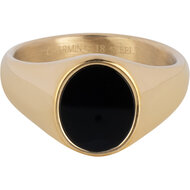 Charmin&#039;s Zegelring met Platte Ovale Zwarte Onyx Edelsteen Goudkleurig R1480