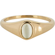 Charmin&rsquo;s R1220 Birthstone zegelring June Moonstone Oval Stone Goldplated