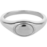 Charmin&rsquo;s Zegelring Staal Ovaal met Gedraaid Randje R1181 