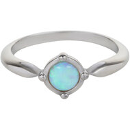 Charmin&rsquo;s Ronde Staal Ring met Opaal R1163