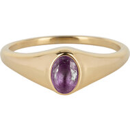 Charmin&rsquo;s R1084 Birthstone zegelring Februari Purple Amethyst Oval Stone Goldplated