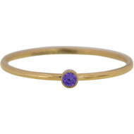 R1072 Birthstone February Paarse Amethyst Stone Shine Bright 2.0 Goldplated