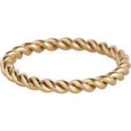 Charmin&rsquo;s Goudkleurige Gedraaide Ring Staal 2mm R1008