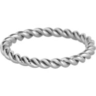 Charmin&rsquo;s Gedraaide Ring Staal 2mm R1007