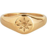 Charmin&#039;s Goudkleurige Zegelring Gravure Mini Ster R1002