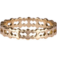 R909 Double trouble Goldplated steel Ring