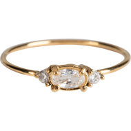 R801 Royal Gold Steel