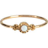 R793 Magic Opal Goldplated Steel