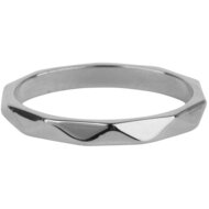 Charmin&#039;s Gehoekte Basis Ring 2,5mm Steel R607