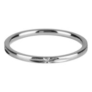 Charmin&rsquo;s basisring R310 Marker Steel