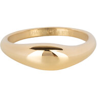 Charmin&#039;s Gold-colored Modern Asymmetrical Signet Ring Oval Steel R1369