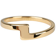 R841 Flash Gold