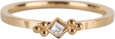 R616 Royal Square Gold Steel Crystal CZ