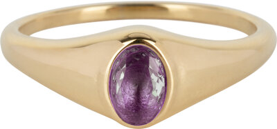 Charmin’s R1084 Birthstone zegelring Februari Purple Amethyst Oval Stone Goldplated