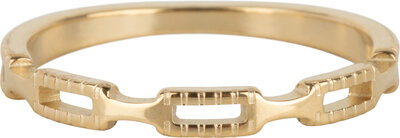 Charmin's Tiny Ring Half Chain Goud R1116