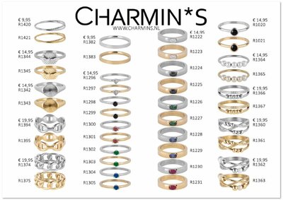 Charmin's Winter Ringen 168 Ringen (42 modellen in 4 maten Easy Order)