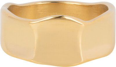 Charmin's Goudkleurige Brede Moderne Fantasie Ring Staal R1391