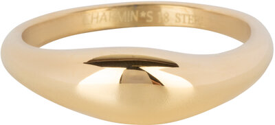 Charmin's Goudkleurige Moderne Asymmetrische Zegelring Ovaal Staal R1369