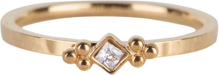 R616 Royal Square Gold Steel Crystal CZ