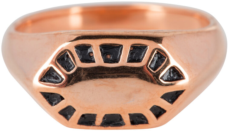 R675 Fancy Seal Rose Gold Steel 