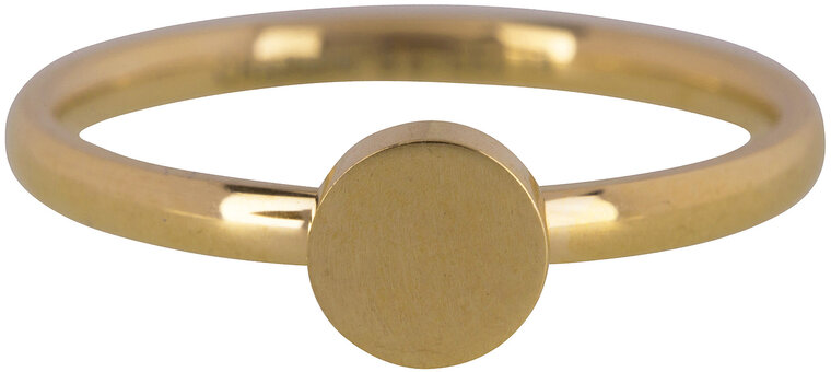 Ring R424 Gold 'Fashion Seal Medium' 