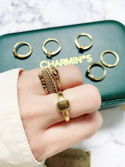 Charmins feiner geflochtener Ring Gold R1010