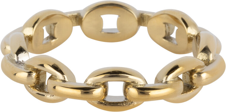 Charmins goldfarbener Ring mit stabilem ovalem Verbindungsstück aus Stahl R1566 – Für immer geschlossen