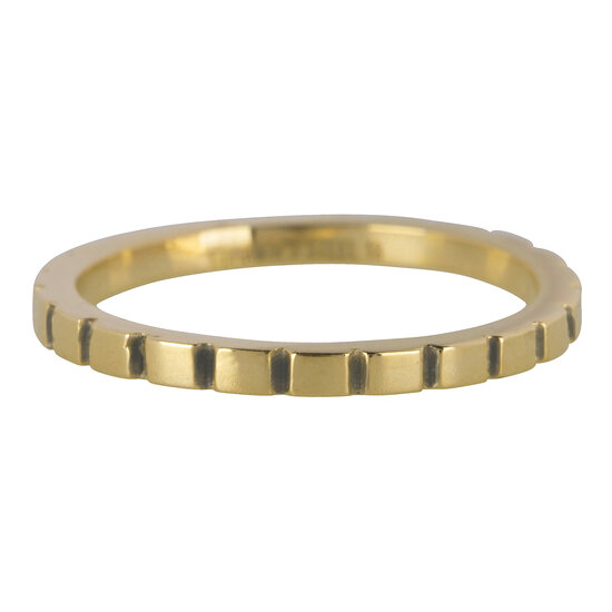 RING R440 GOLD 'STEEL BASICALLY'