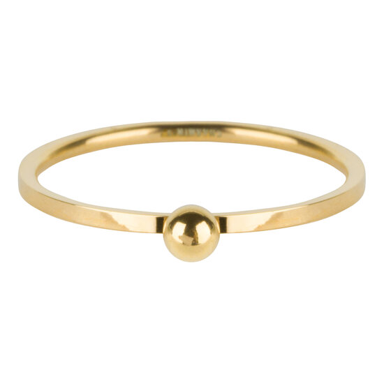R529 Dot Ring Gold Steel
