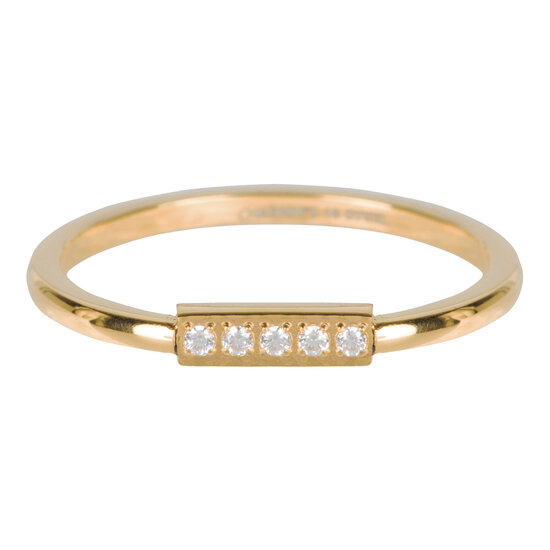 R541 Tube Crystal CZ Gold Steel