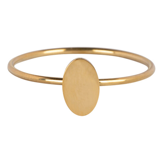 R719 Minimalist Oval Gold Steel