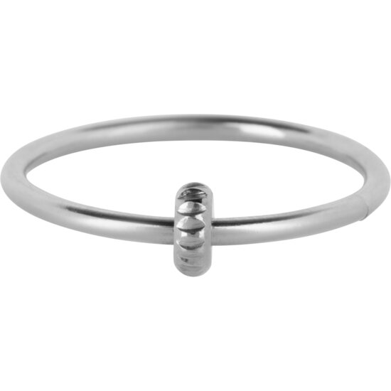 Charmin's Rolling Disk Anxiety Fidget Ring Steel R1354