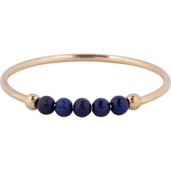 Charmin's Anxiety Ring Lapis Lazuli Gemstone Bead Steel R1323