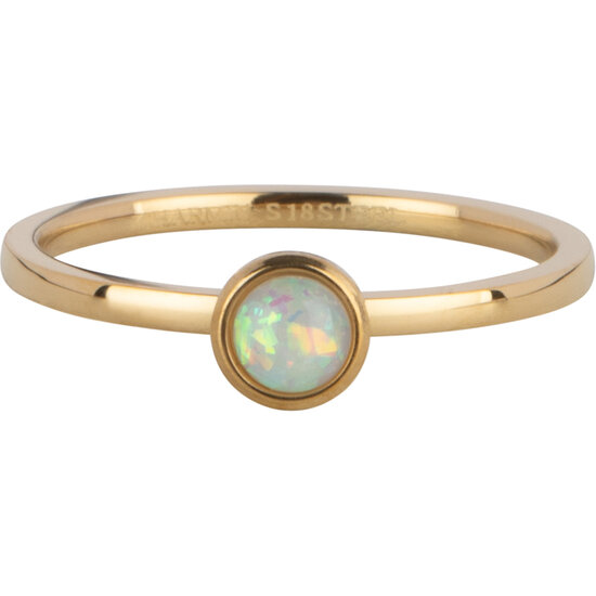 Charmin's Gold Ring Birthstone October Opal/ Tourmaline Steel Iconic R1610