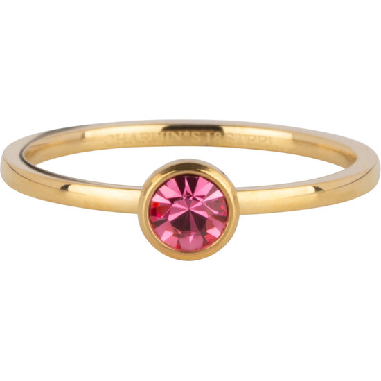 Charmin's Gold Ring Birthstone October Opal/ Tourmaline Steel Iconic R1606