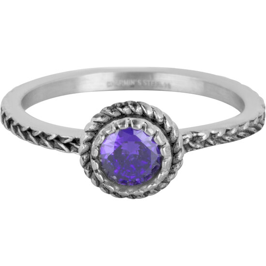 Charmin's Ring Birthstone Februari Paars Lila Kristal Staal Iconic Vintage R1522