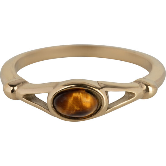 Charmin's ovaler eleganter Tijgereye Ring Goud R1161