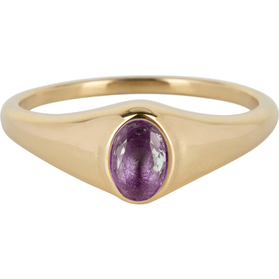 Charmin’s R1084 Birthstone zegelring Februari Purple Amethyst Oval Stone Goldplated
