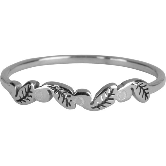 Charmin’s ring R916 Leaves Steel