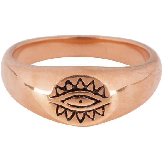R734 I See You Rose Gold Steel Small