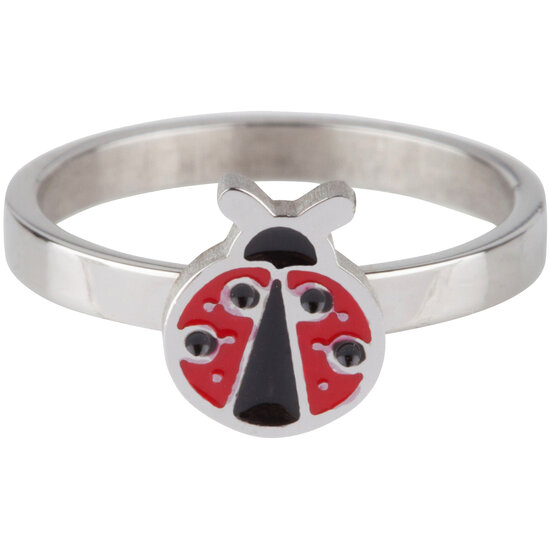 KR63 Lady Bug Shiny Steel