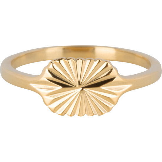 Charmin’s Goudkleurige Zegelring Gravure Sterpatroon Ovaal Staal R1345